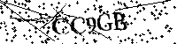 Bitte geben Sie die gezeigten Buchstaben und Zahlen ein