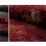 LANGHAAR BATIK RASTAFELL STOFF FELLIMITAT TIE-DYE